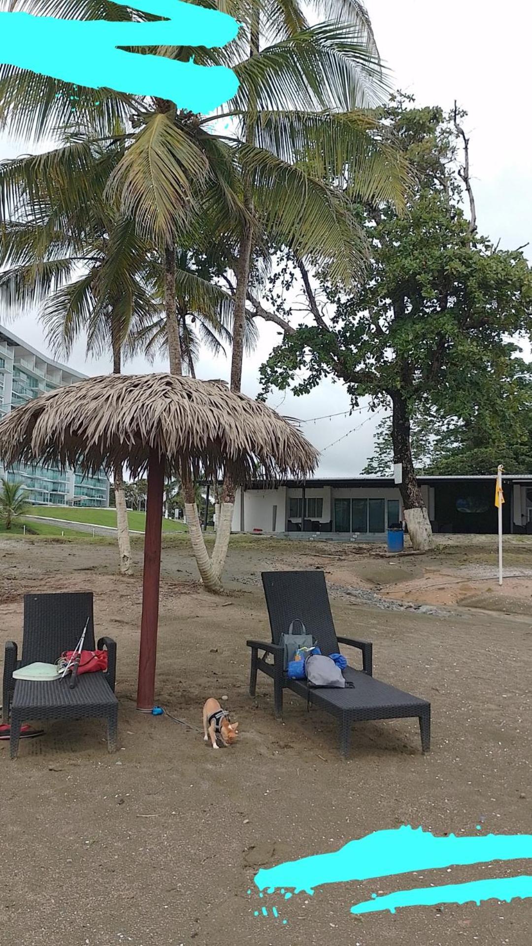 Apartamento En Balabeach Maria Chiquita In Front Of The Beach 2Hab Colon Kamer foto