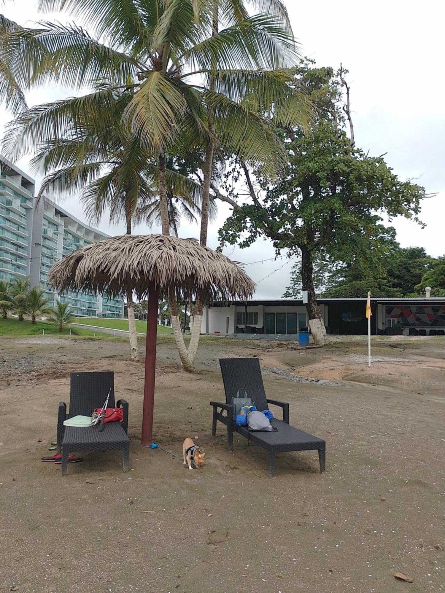 Apartamento En Balabeach Maria Chiquita In Front Of The Beach 2Hab Colon Kamer foto