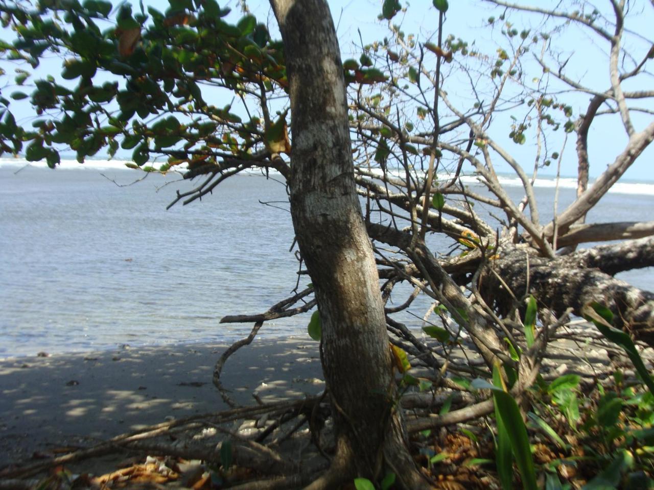 Apartamento En Balabeach Maria Chiquita In Front Of The Beach 2Hab Colon Buitenkant foto