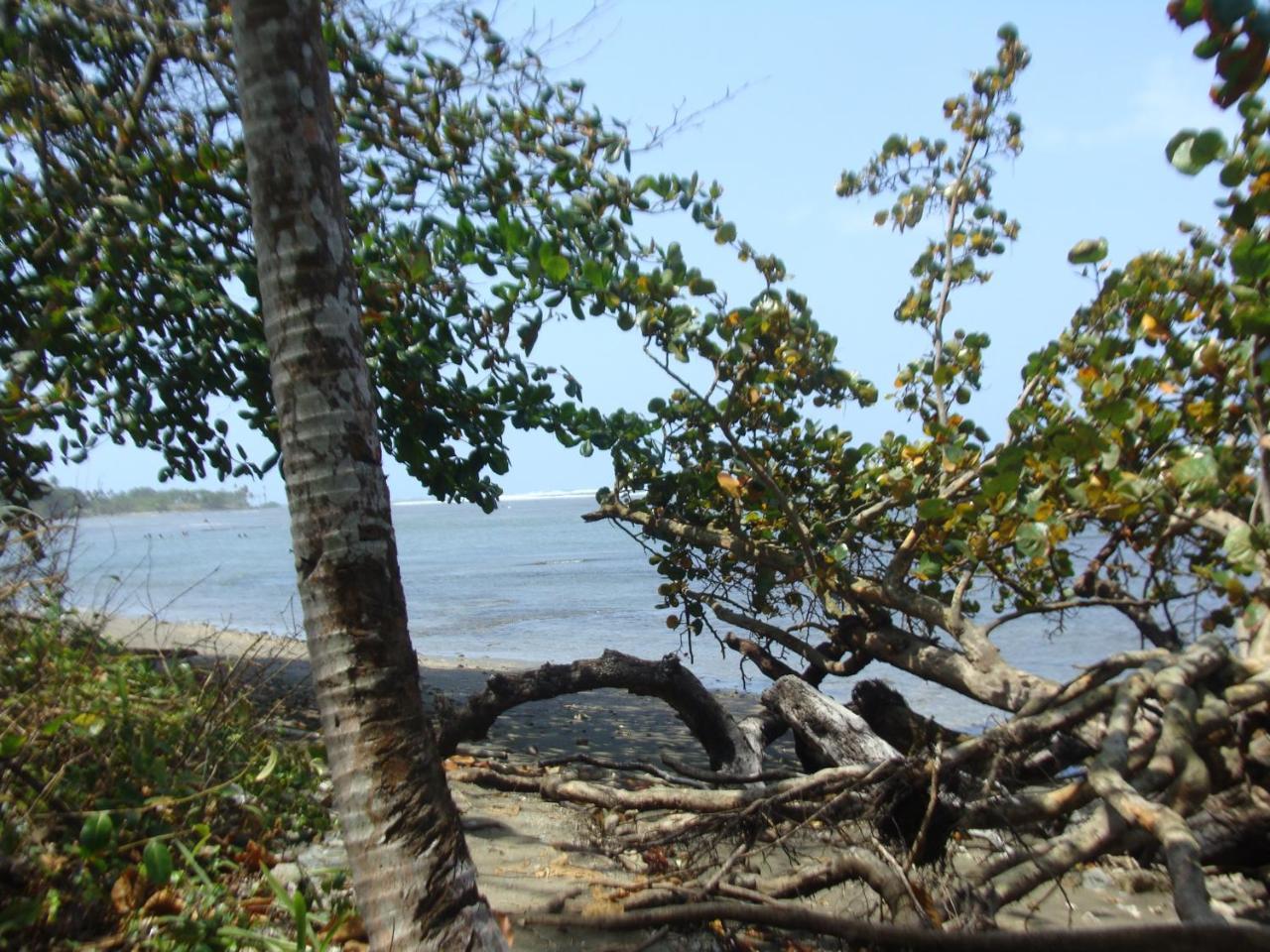 Apartamento En Balabeach Maria Chiquita In Front Of The Beach 2Hab Colon Buitenkant foto