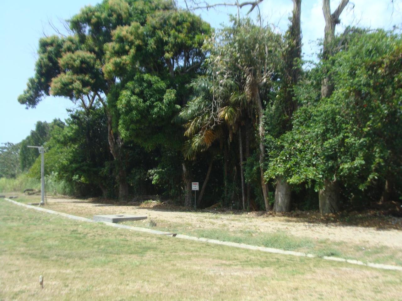 Apartamento En Balabeach Maria Chiquita In Front Of The Beach 2Hab Colon Buitenkant foto