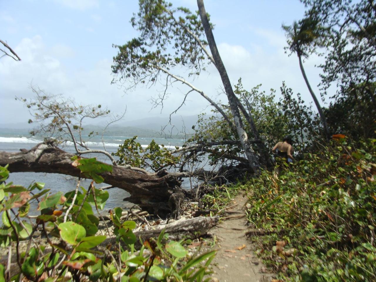 Apartamento En Balabeach Maria Chiquita In Front Of The Beach 2Hab Colon Buitenkant foto